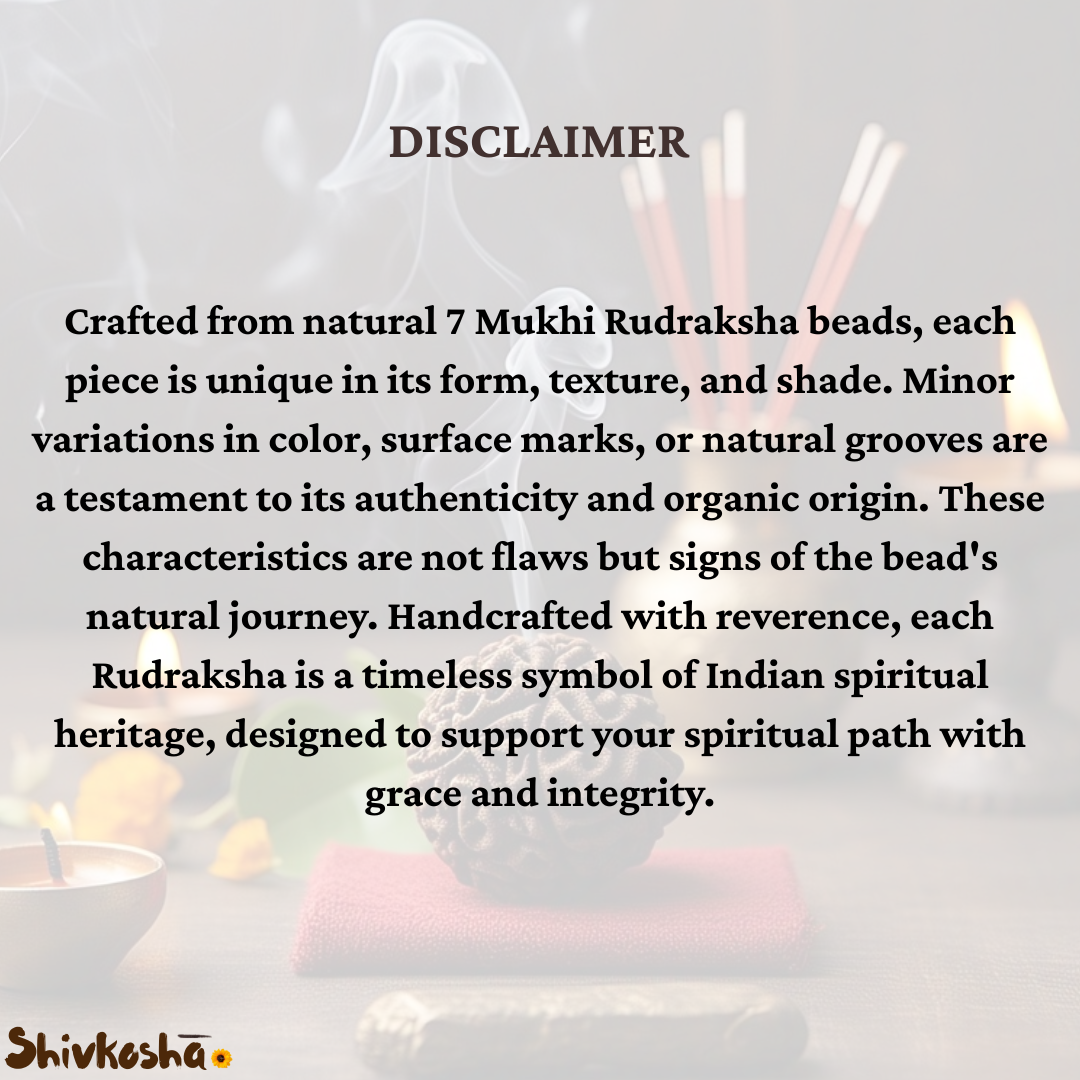 7 Mukhi Rudraksha For Sacred Bead for Wealth, Prosperity & Saturn Blessings