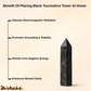 Natural Black Tourmaline Tower for Energy Protection, Grounding, and Negative Vibes Removal