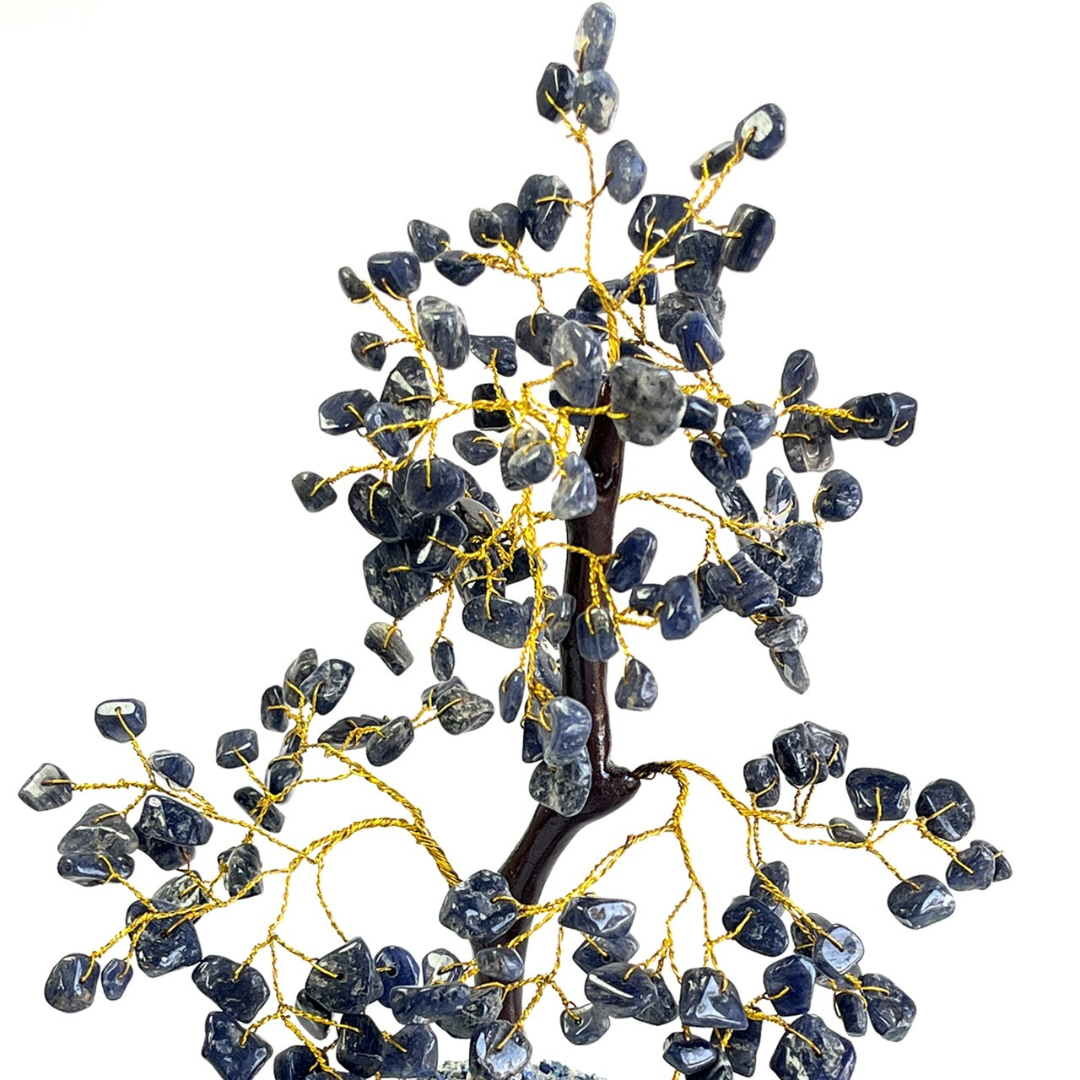 Sodalite Crystal Tree For Wisdom, Clarity & Inner Peace