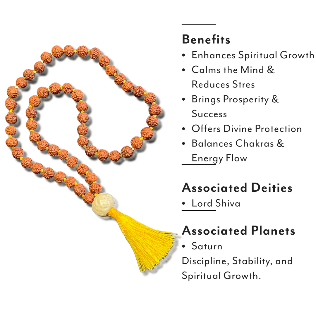 Natural Rudraksha Japa Mala For Devotion, Spiritual Clarity & Protection (54 Beads)