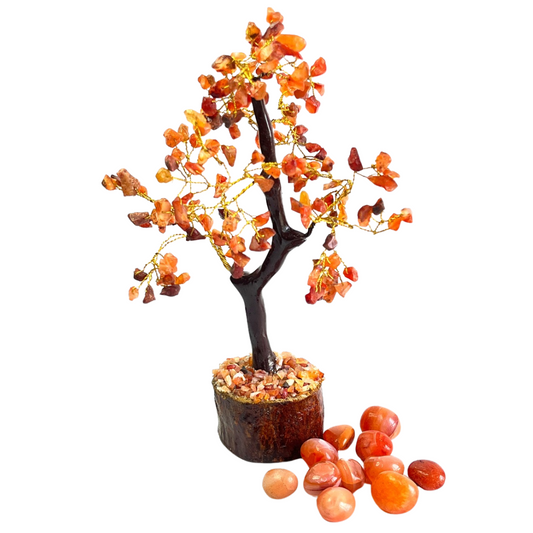 Carnelian Crystal Tree For Ignite Passion, Confidence & Success