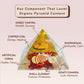 Shree Yantra Orgone Pyramid For Prosperity, Positivity & Personal growth
