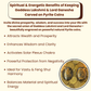 Pyrite Lakshmiji & Ganeshji Coin Set