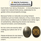 Pyrite Lakshmiji & Ganeshji Coin Set