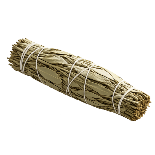 Premium Natural White Sage Smudge Stick for Energy Cleansing & Aura Purification