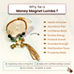 Designer Money Magnet Bracelet Lumba for Abundance & Prosperity