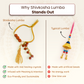 Designer Rudraksha Bracelet Lumba for Spiritual Growth & Blessings