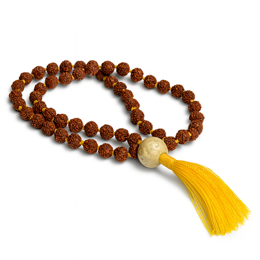 Natural Rudraksha (54+1) Guru Bead Japa Mala For Devotion, Spiritual Clarity & Protection
